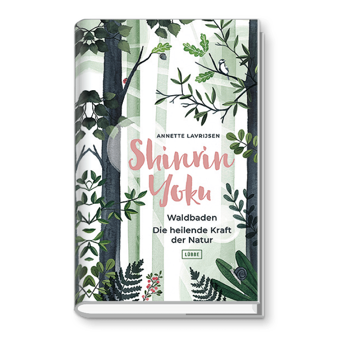 Shinrin Yoku – Waldbaden. Die heilende Kraft der Natur